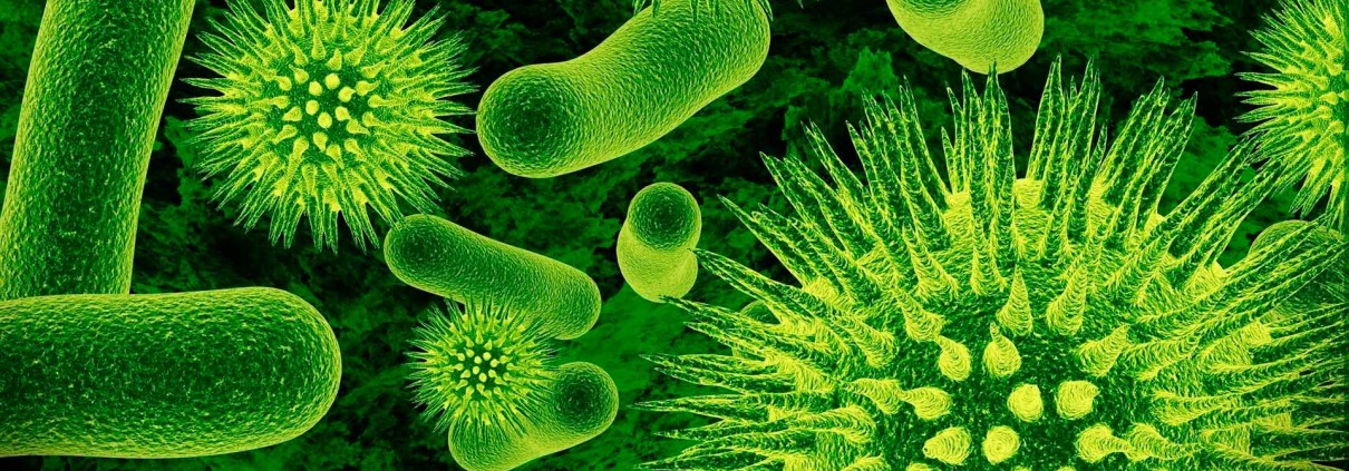 12 бактерий, резистентных ко всем антибиотикам
